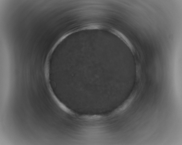 X0000113160851200909111013