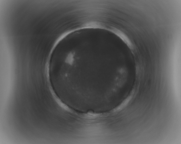 X0000113160854200909111013