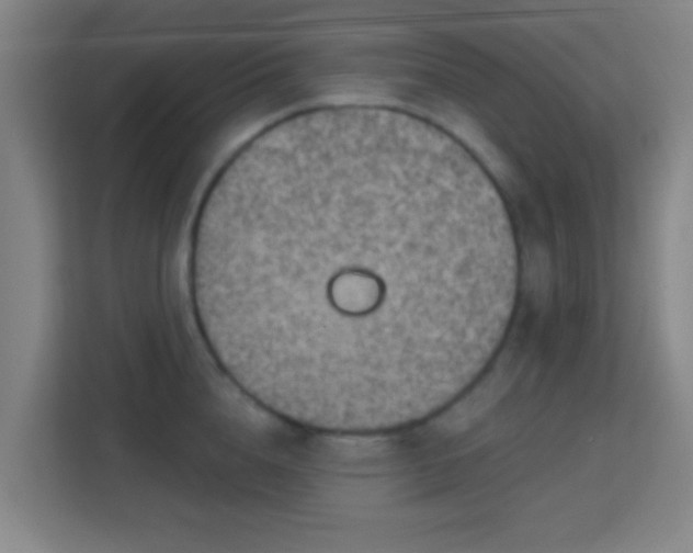 X0000113160856200909111013