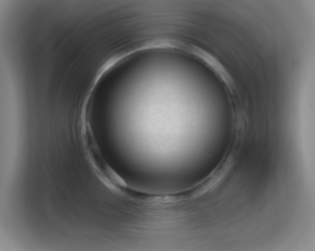 X0000113160858200909111013