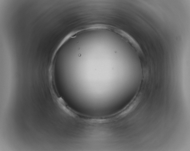 X0000113160860200909111013