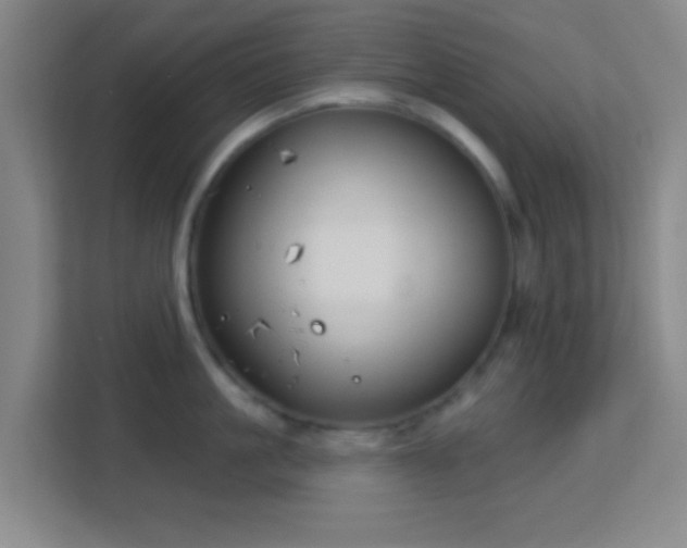 X0000113160861200909111013