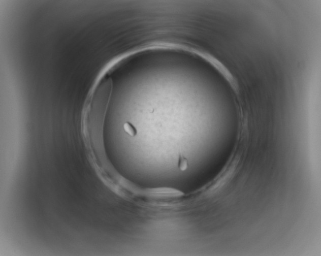 X0000113160862200909111013