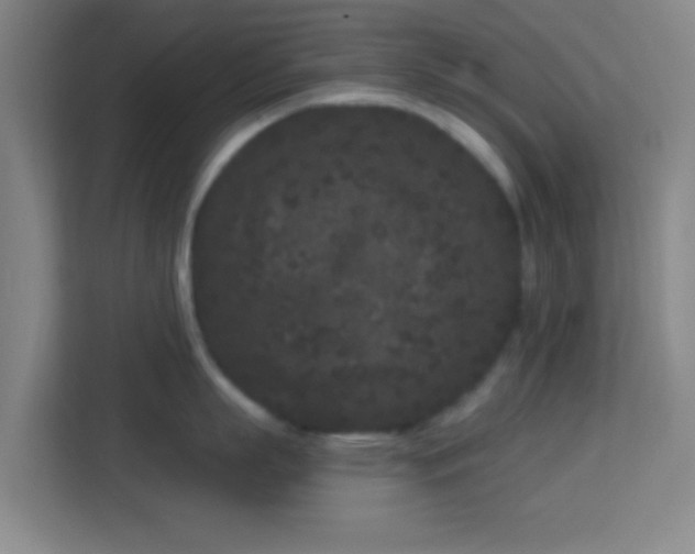 X0000113160863200909111013