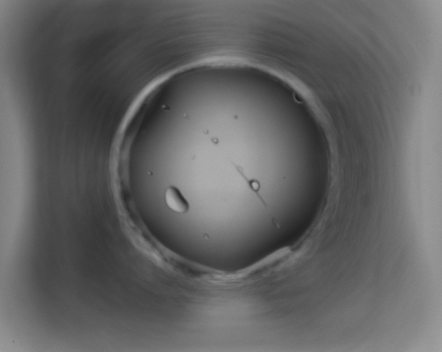 X0000113160864200909111013