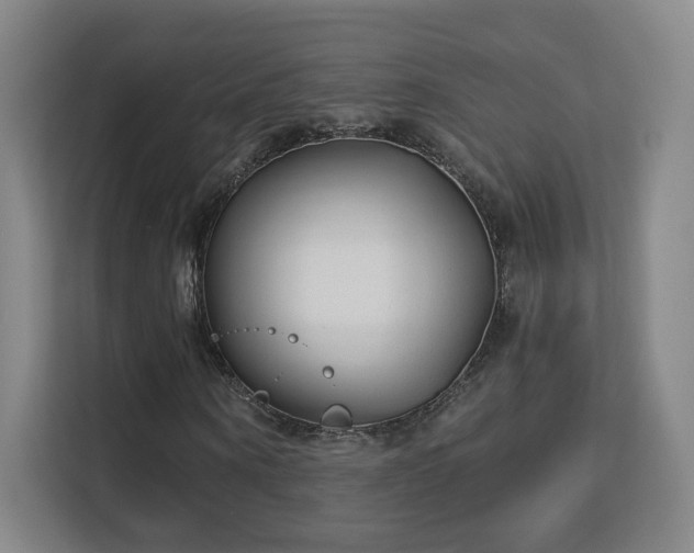 X0000113160866200909111012