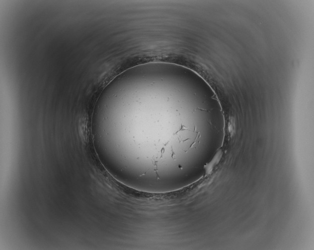 X0000113160867200909111012