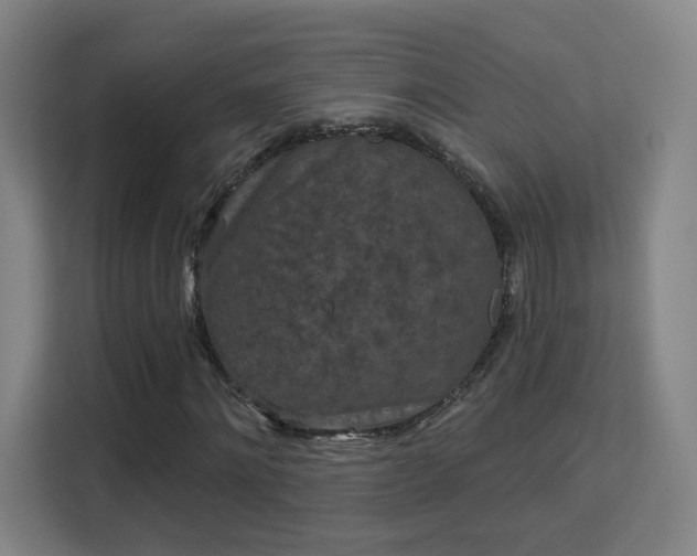 X0000113160868200909111012