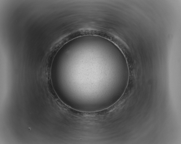 X0000113160870200909111012