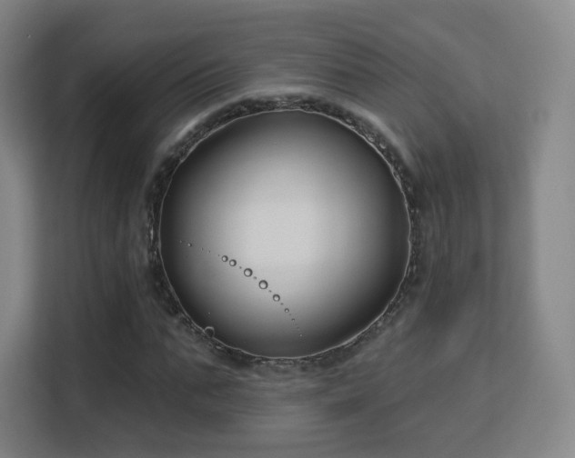 X0000113160871200909111012