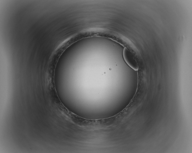 X0000113160872200909111012