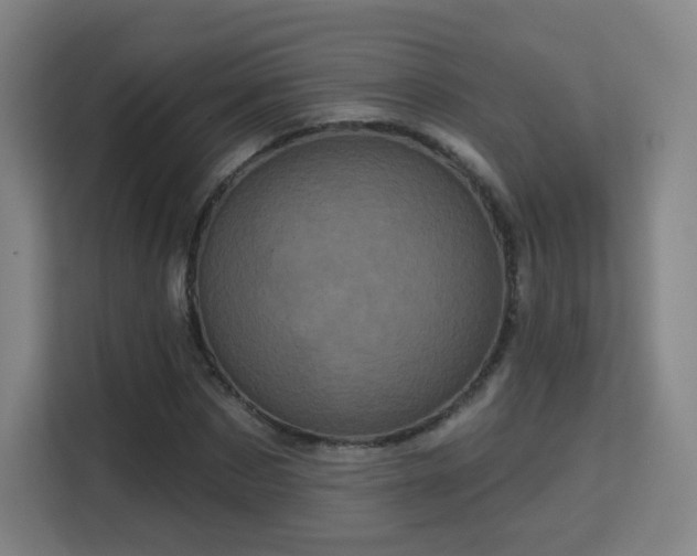 X0000113160873200909111012