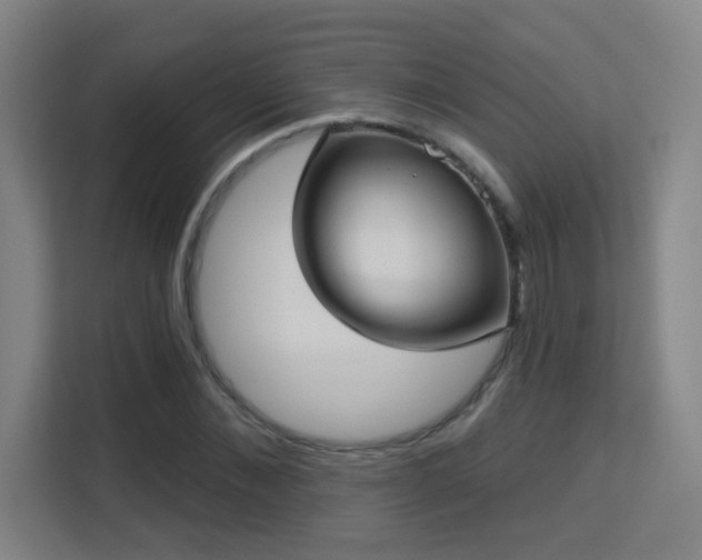 X0000113160876200909111012