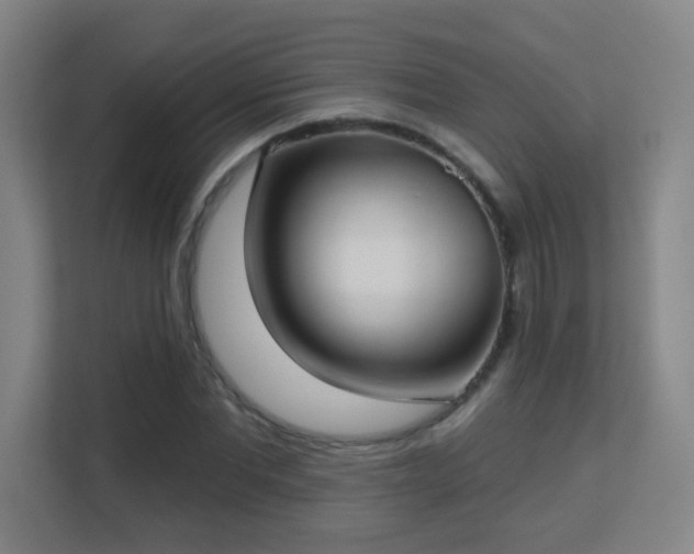 X0000113160877200909111012