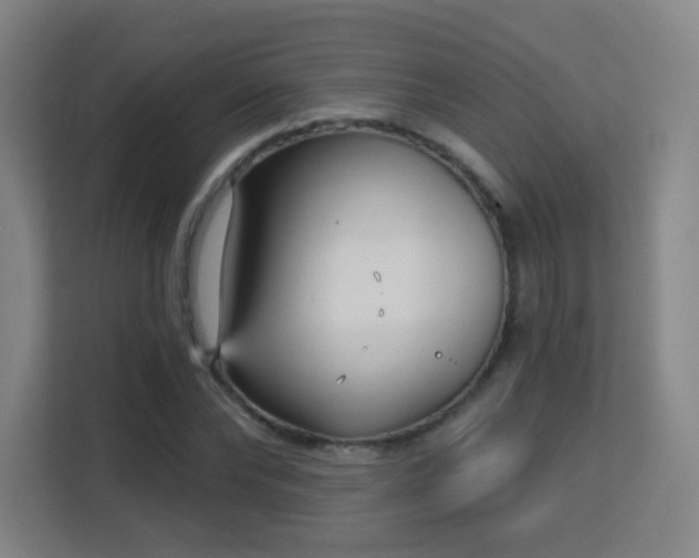 X0000113160878200909111012