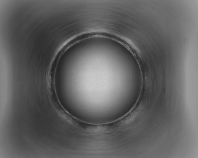 X0000113160879200909111012