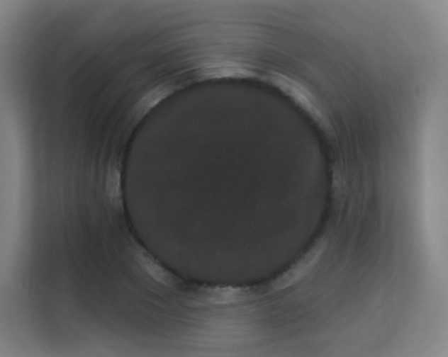 X0000113160881200909111012