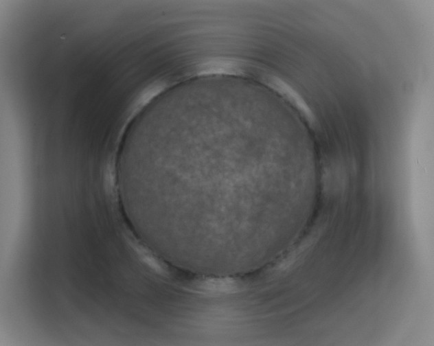 X0000113160882200909111012