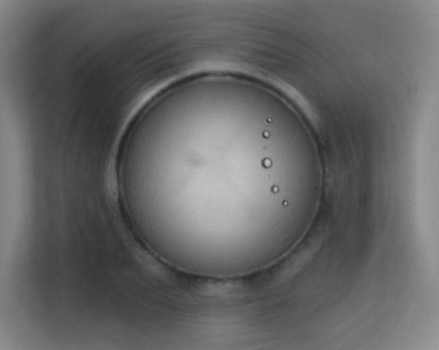 X0000113160887200909111012