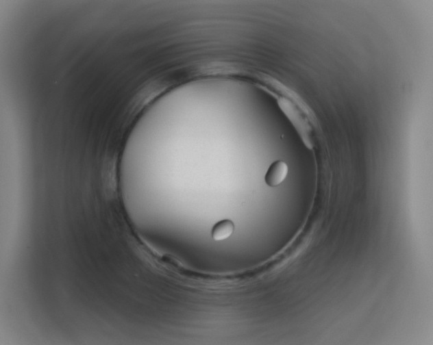 X0000113160889200909111012