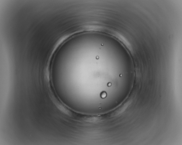 X0000113160891200909111012