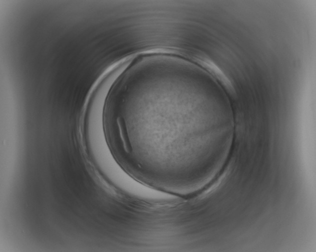 X0000113160892200909111012