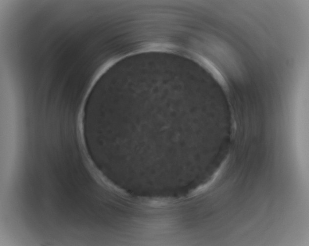 X0000113160899200909111012