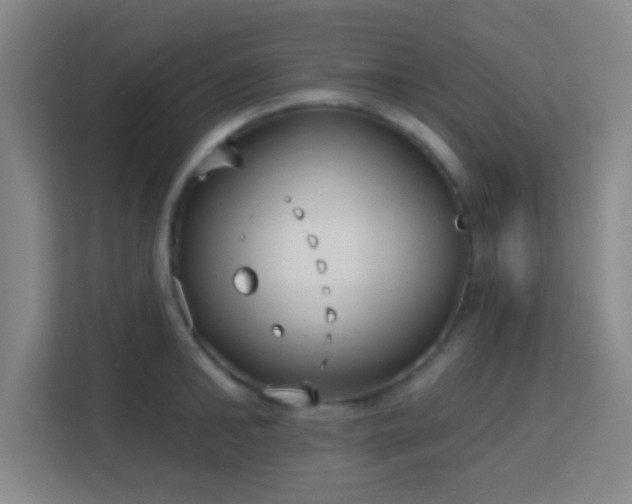 X0000113160902200909111012