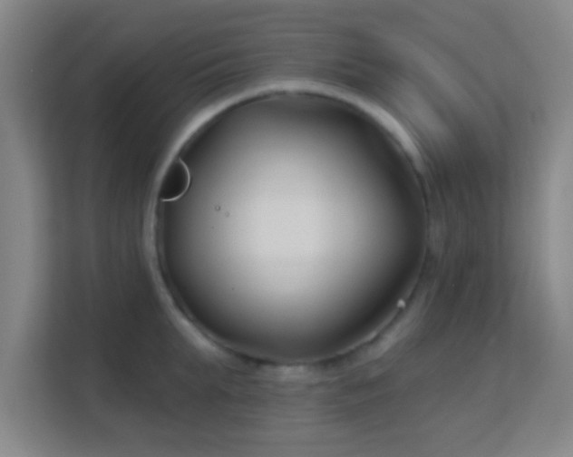 X0000113160903200909111012