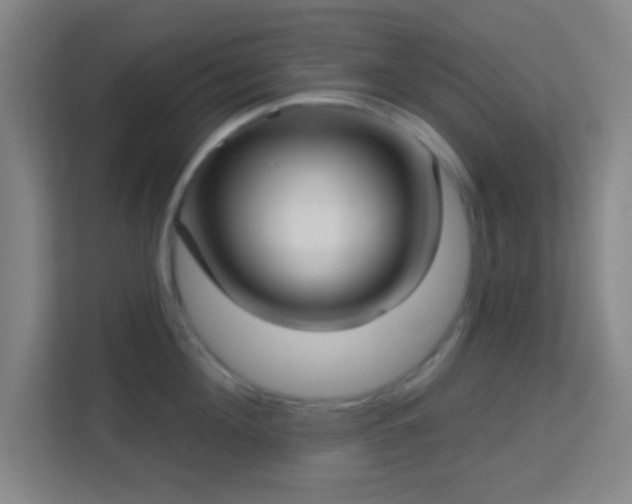 X0000113160908200909111012