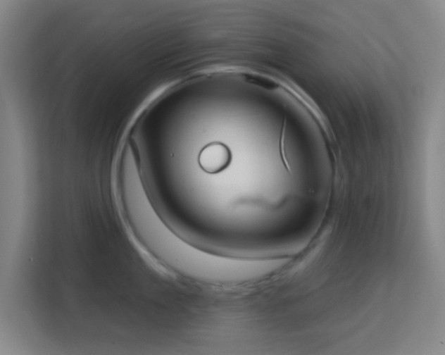 X0000113160909200909111012