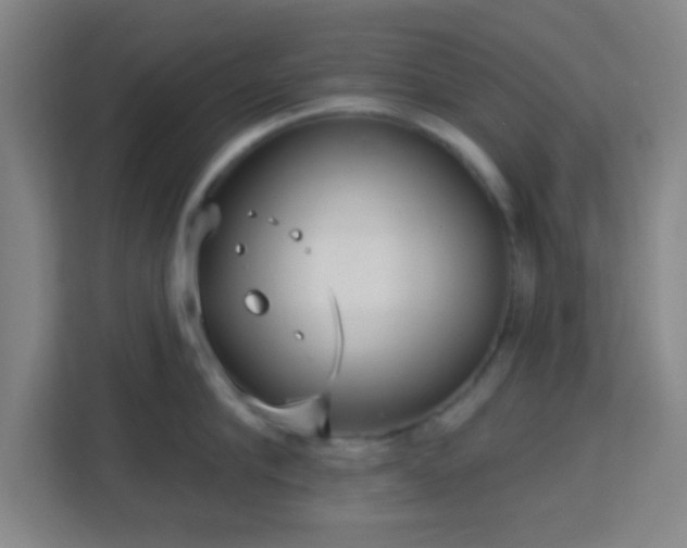 X0000113160910200909111012