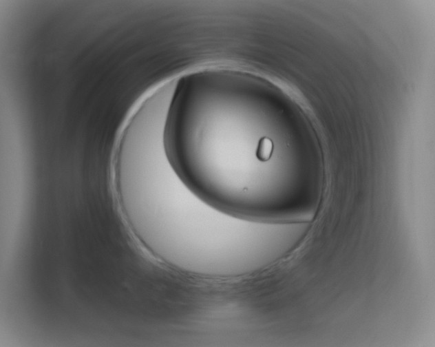 X0000113160912200909111012