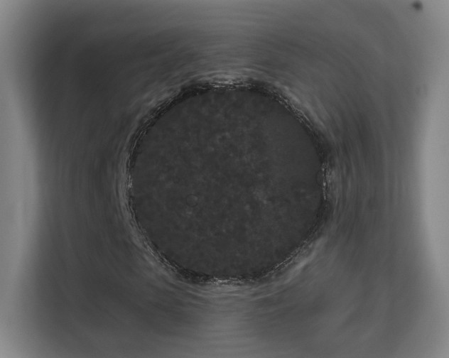 X0000113160913200909111011