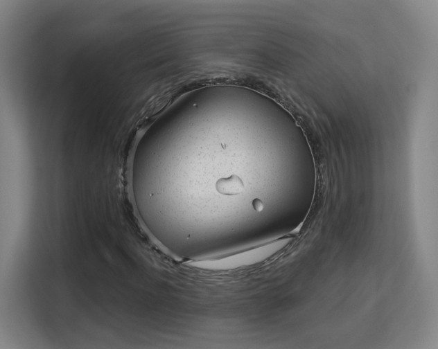 X0000113160916200909111011