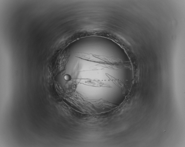 X0000113160917200909111011