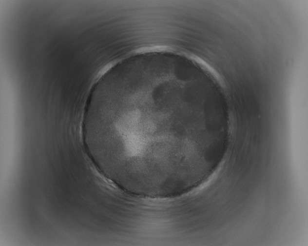 X0000113160921200909111011