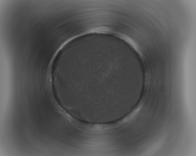 X0000113160923200909111011