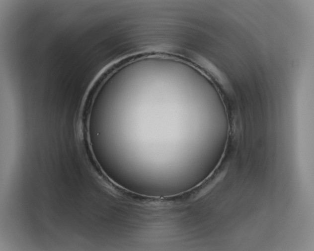 X0000113160924200909111011