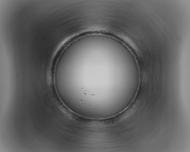 X0000113160927200909111011