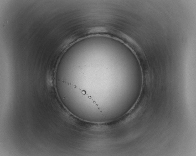 X0000113160929200909111011