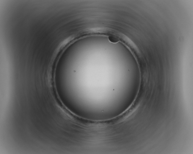 X0000113160930200909111011