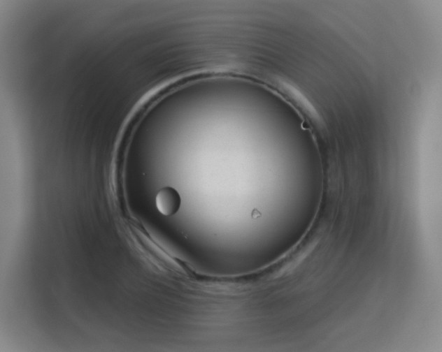 X0000113160932200909111011