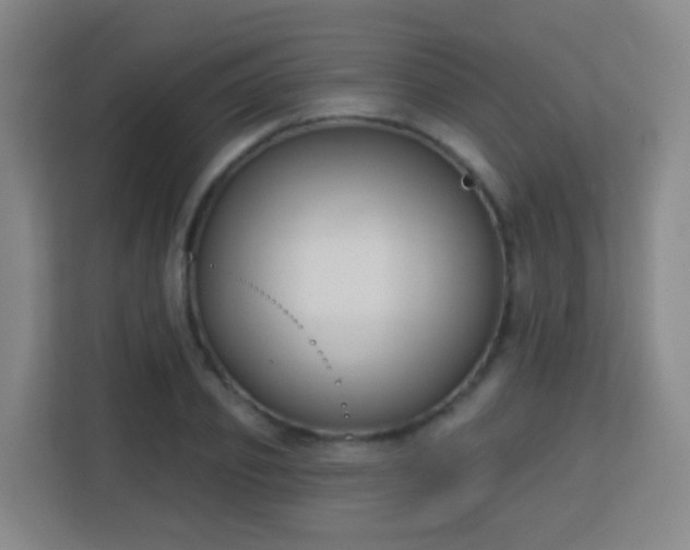 X0000113160933200909111011