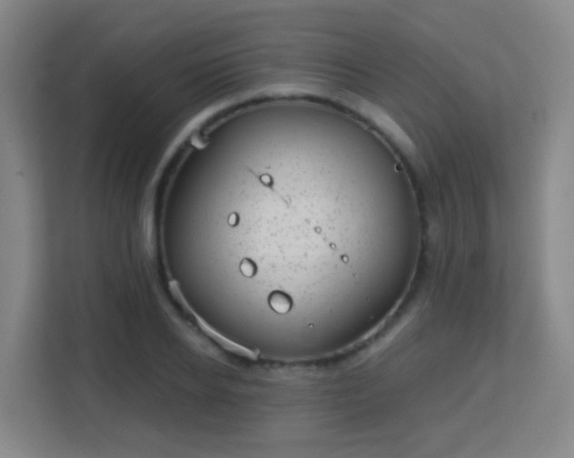 X0000113160934200909111011