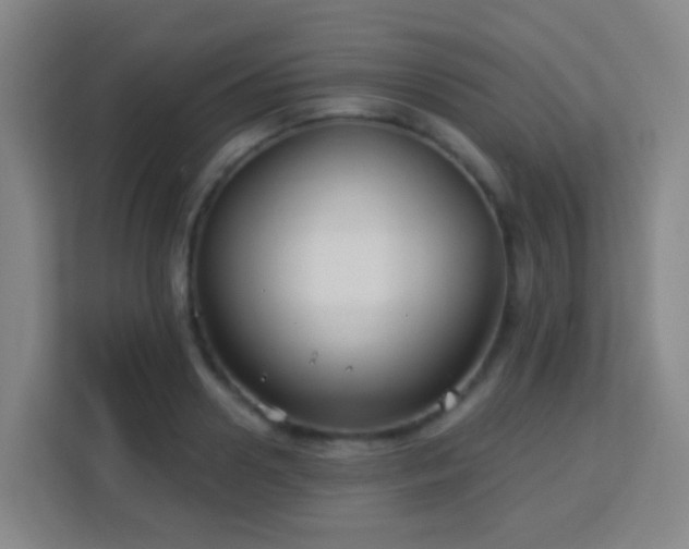 X0000113160938200909111011