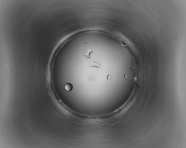 X0000113160940200909111011