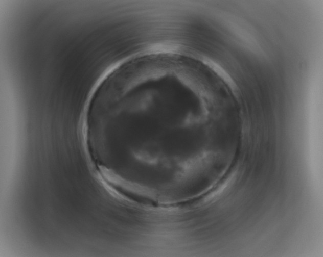 X0000113160941200909111012