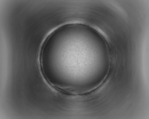 X0000113160943200909111012