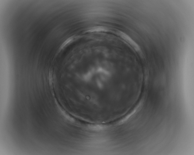 X0000113160945200909111012